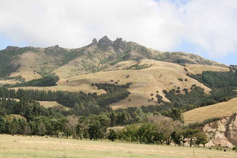 Nieuw-Zeeland 2011 - 2136